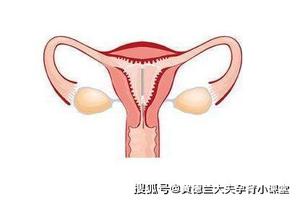 鸡西环医院取环哪家便宜一点(鸡西哪里看妇科好)