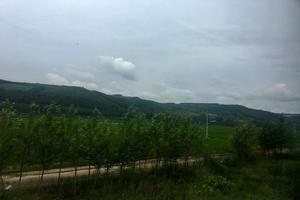 鸡西环那里上环好(鸡西外环路) 鸡西环那里上环好(鸡西外环路)